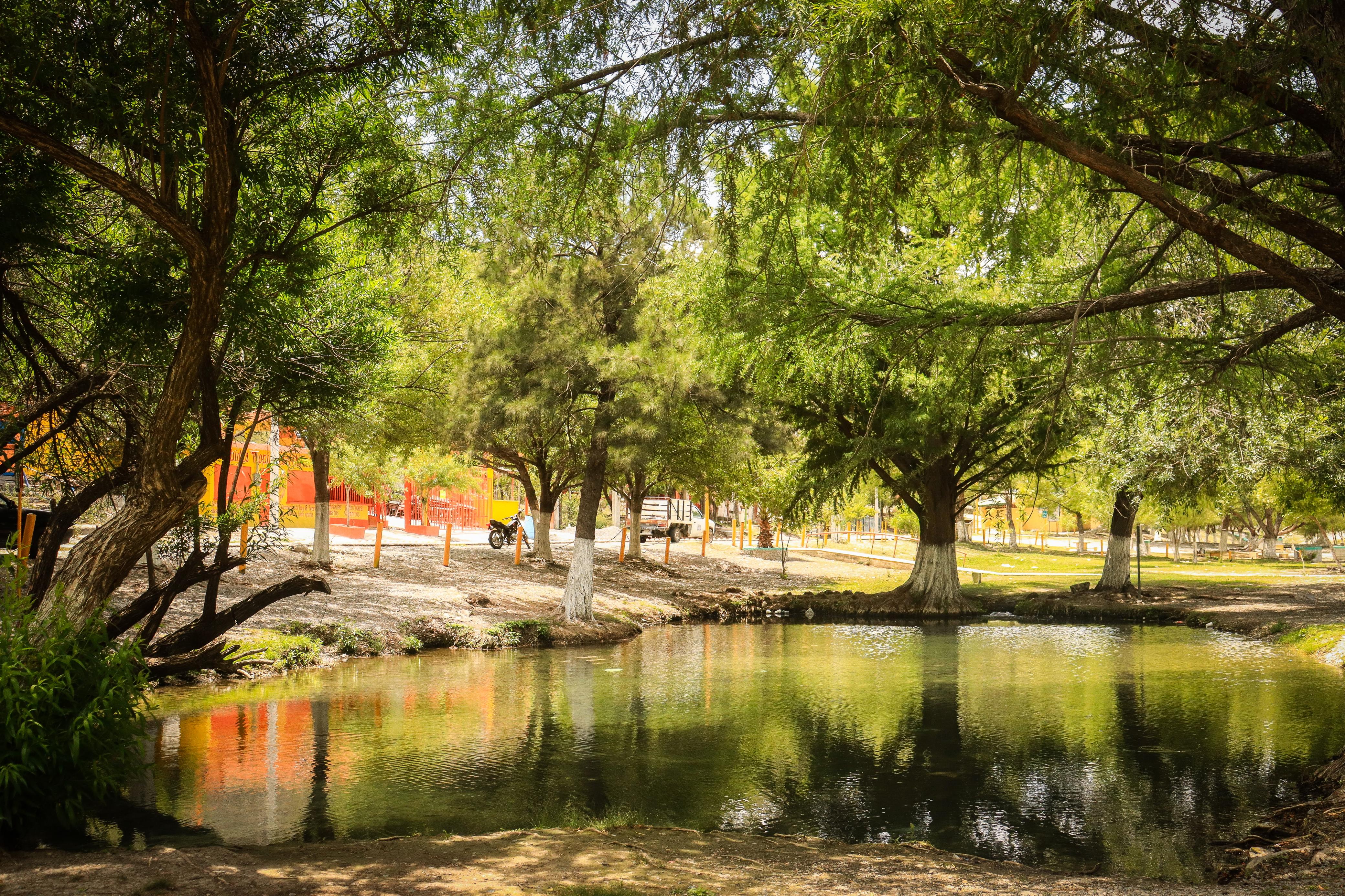 Ojo de Agua San Lorenzo