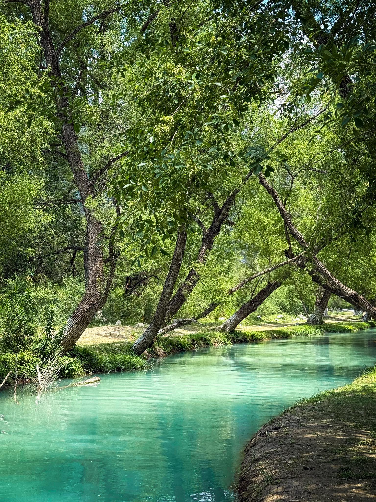 Ojo de Agua San Lorenzo