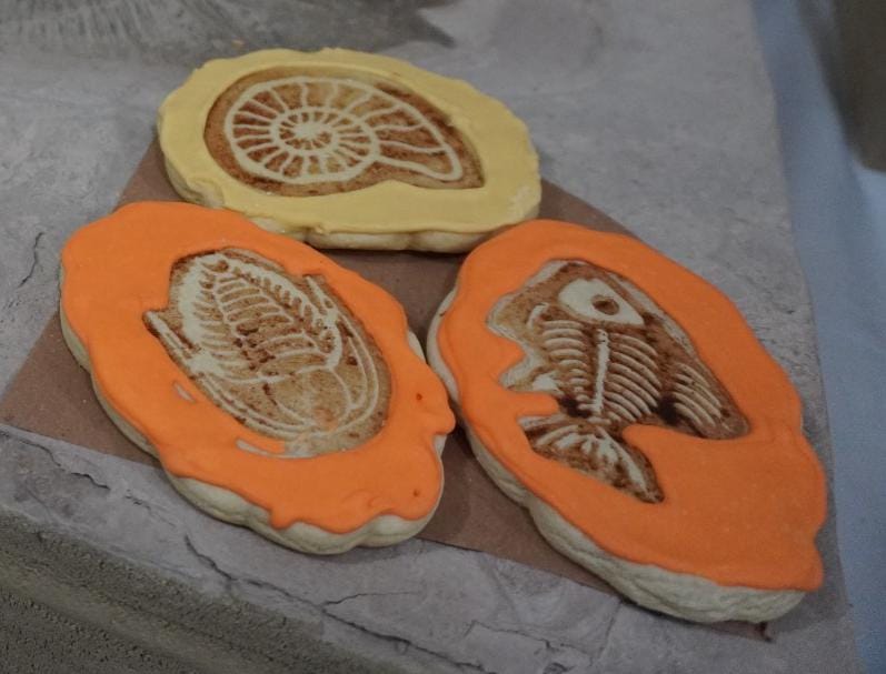 GALLETAS EN FORMA DE FÒSILES